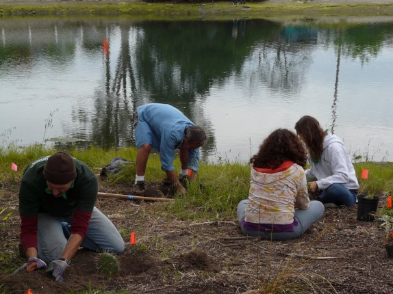 Friends of Colorado Lagoon EcoEvents receive KYL Support