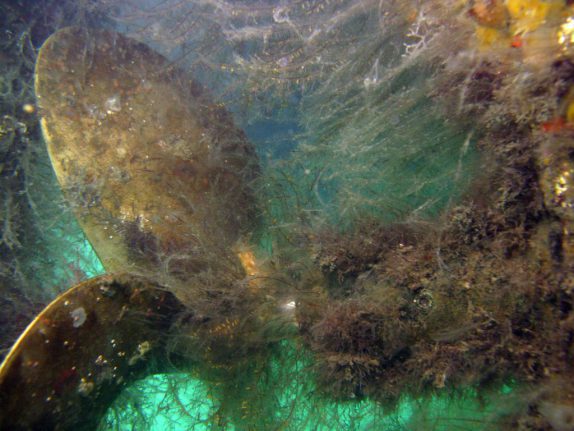 Maritime Alert: 2018 Requirements for California’s Biofouling Management and Ballast Water Management Regulations